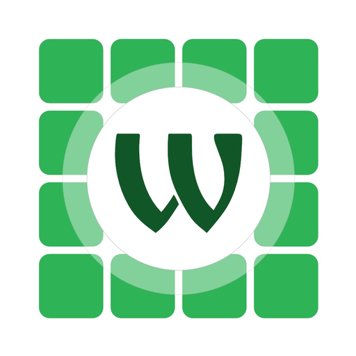 BNVR Client app icon