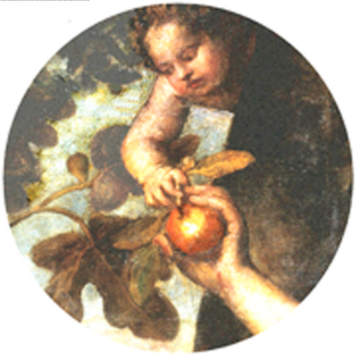 Pregnancy Timing Chart app icon