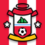Team Southampton icon