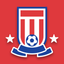 Team Stoke City icon