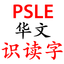 PSLE Chinese Flash Cards icon