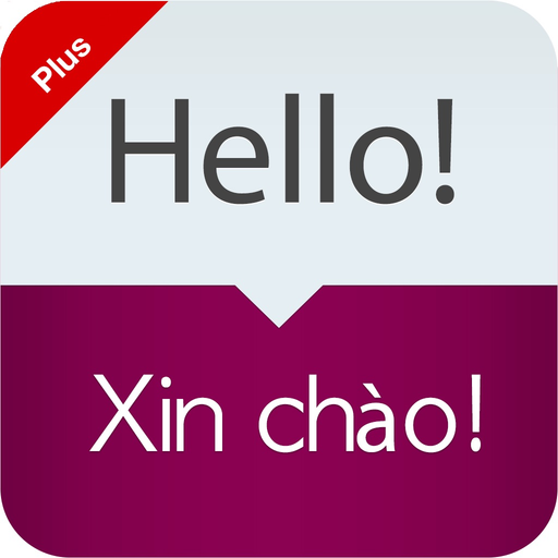Tra câu + app icon