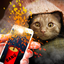 Bang Deafened Cat Prank icon