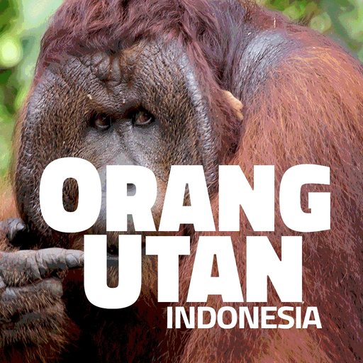 OrangUtan - Indonesia app icon