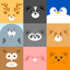 Cool & Amazing Animal Facts icon