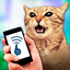Cat Whistle Teaser Prank icon