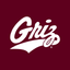 Montana Grizzlies icon