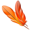 Libro-Autor icon