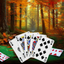 Solitaire - Patience Fall icon