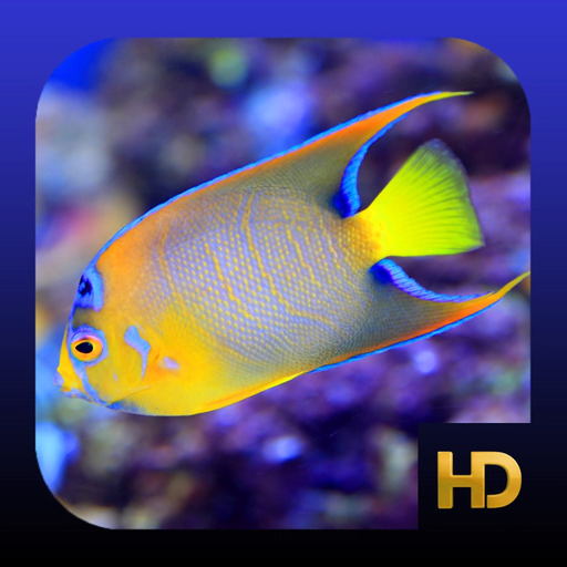 Peaceful Aquarium HD app icon