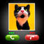 Fake Call Cat Prank icon