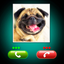 Fake Call Dog Prank icon