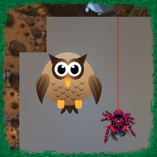 Spider Web K app icon