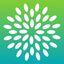 Acorn Scanner icon