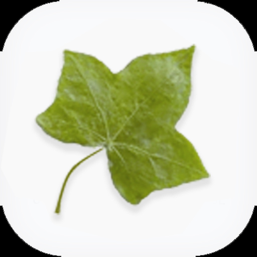 IVY World School, Jalandhar app icon