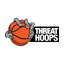 ThreatHoops icon