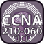 CCNA collaboraton 210 060 CICD icon