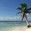 Real Landscapes HD icon