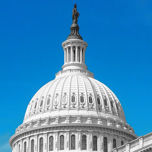 US Government Grants Search app icon