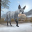 Arctic Fox icon