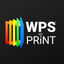 WPS Print 2 icon