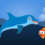 Dolphin Patrol! icon