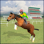 Horse Racing 2016 icon