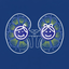 NefroPedCal icon