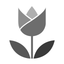 Live Focus icon