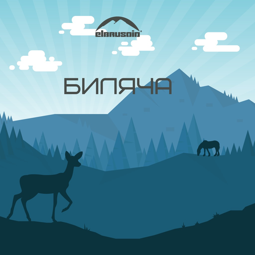 Bilacha app icon