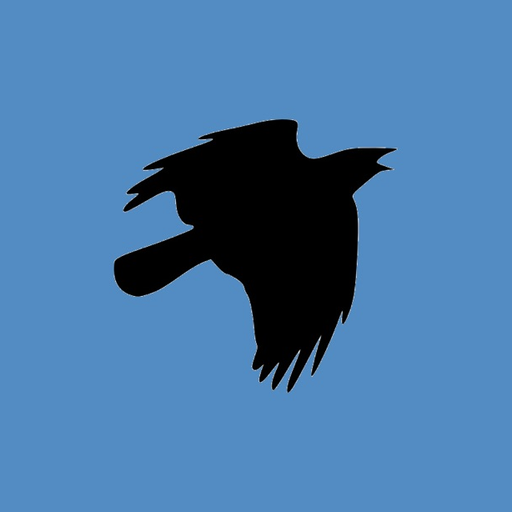 Flappy TV app icon