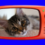 TV Pics for Reddit icon