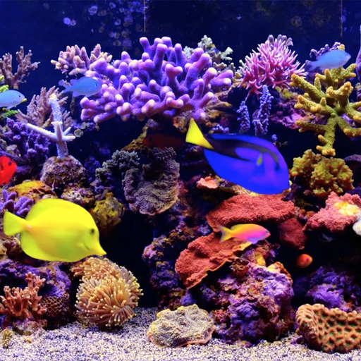 Amаzing Aquarium app icon