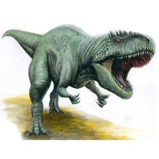 Dinosaur Sounds and Info app icon