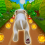 Pet Run - Puppy Dog Run Game icon