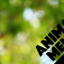 Animal Memo icon