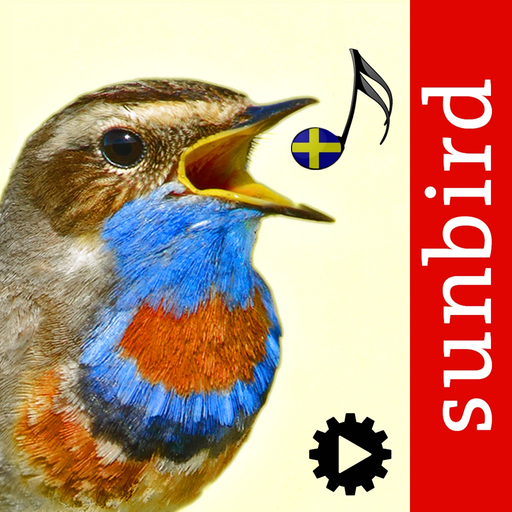 Fågelsång Id - fåglar app icon