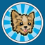 Tiny Neo - Agility Training TV icon