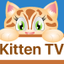 Kitten TV icon