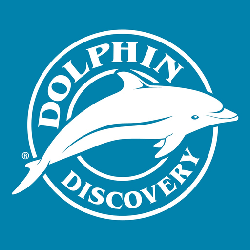 Dolphin Discovery App app icon