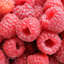 Food Nutrients Finder icon