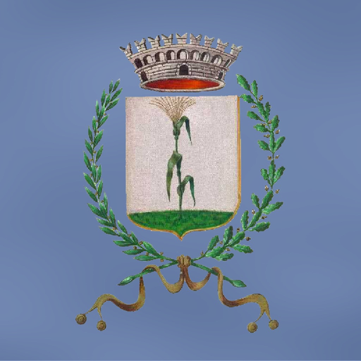 MySorgà app icon