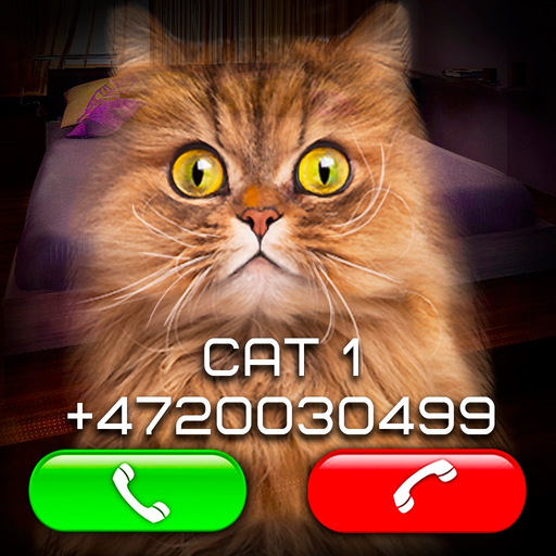 Fake Video Call Cat app icon