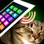 Lullaby Cat Simulator icon