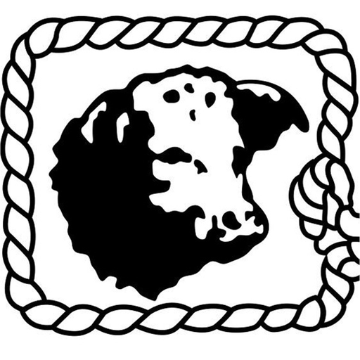 Butte Bank Anywhere app icon