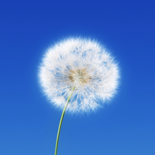 Access Consciousness app icon
