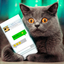 Simulator Virtual Cat Joke icon