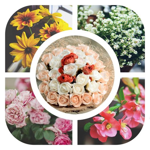 Grid Collage - Photo Art Collage - Photo Beauty - Picture Grid Collage app icon