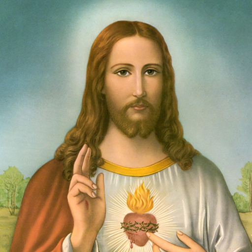 Holy Bible(English Version) app icon