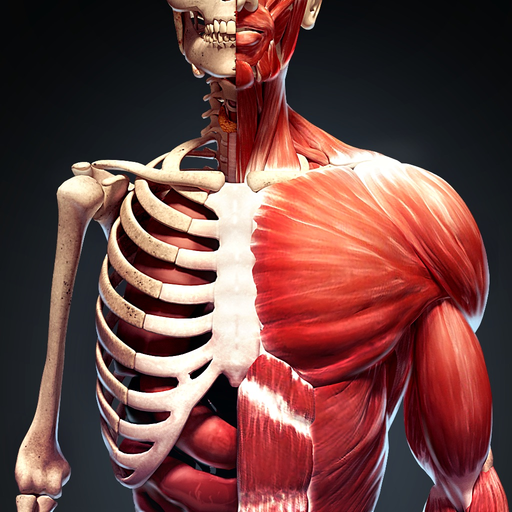 Human Body Atlas: 3D Medical app icon